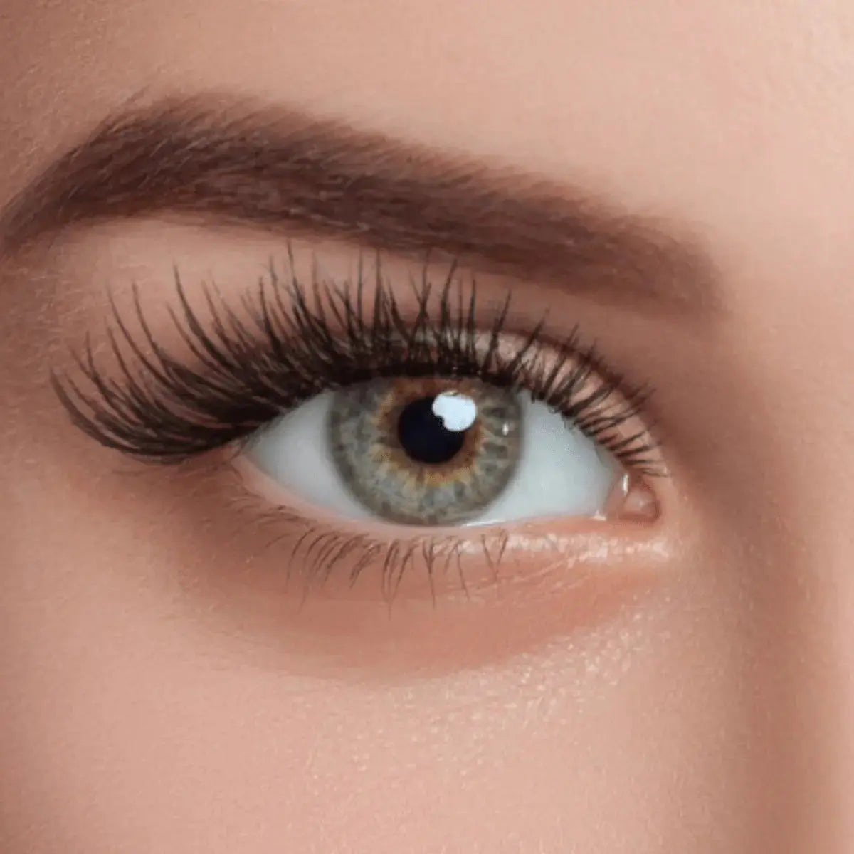 EZ Lashes Classic Natural Eyelashes